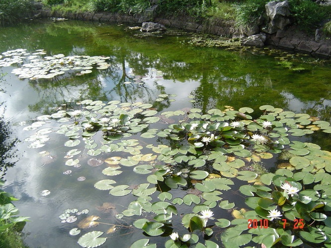 DSC06796_��С��С.JPG
