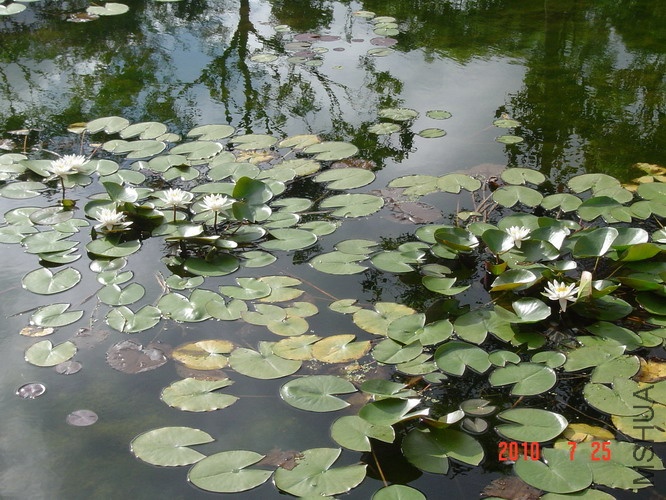 DSC06797_��С��С.JPG