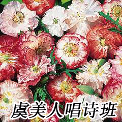 F42 �����˳�ʫ��.jpg