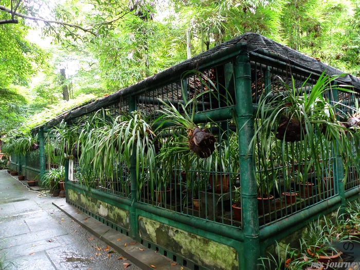 nEO_IMG_P1010301.jpg