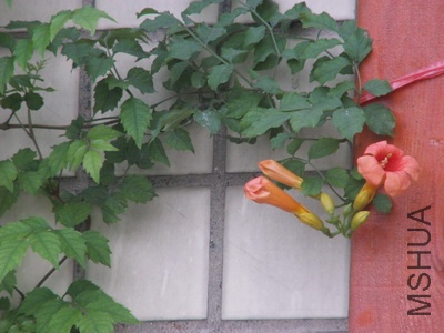 ���� (4).jpg