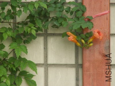 ���� (3).jpg