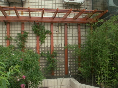 ���� (2).jpg