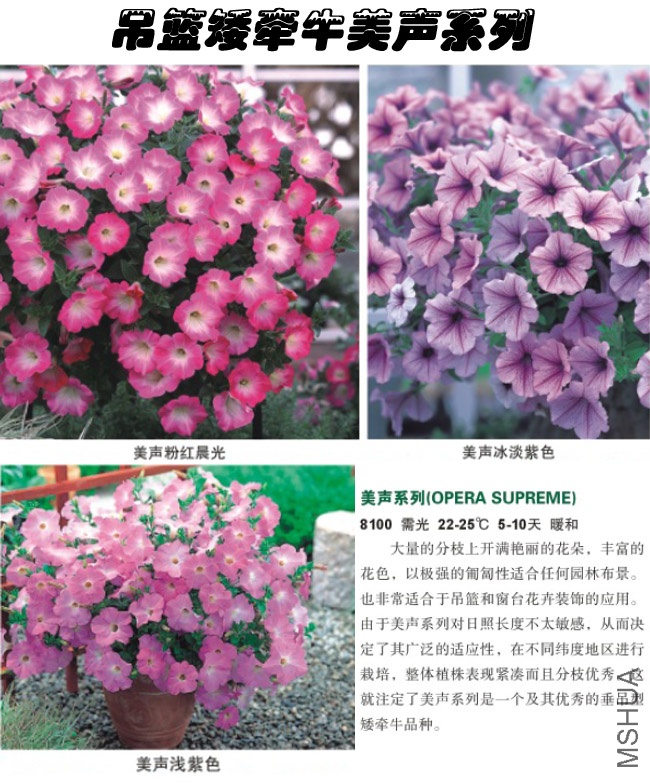 F91-F93��ǣţ����.jpg