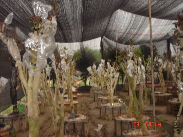 DSC00028.JPG