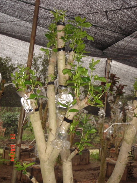 DSC00023.JPG