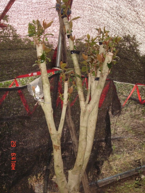 DSC00020.JPG