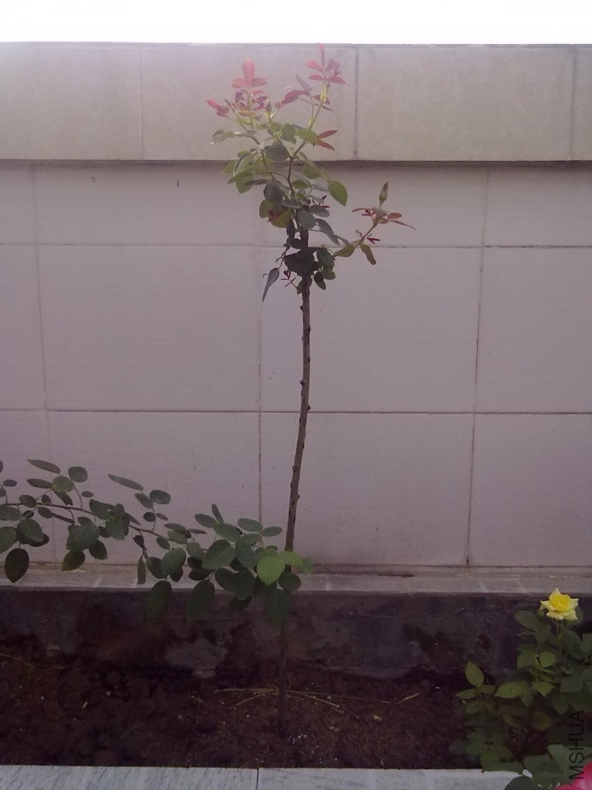 20100719202.jpg