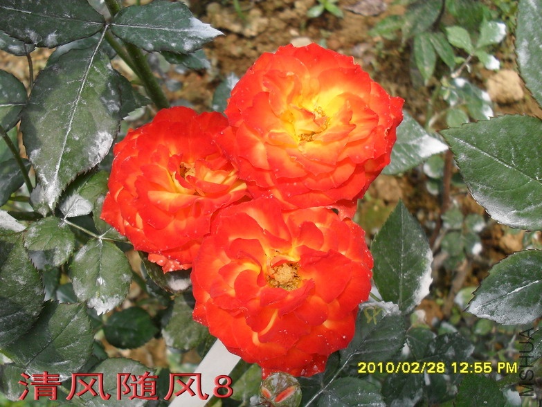 ����11 (3).jpg