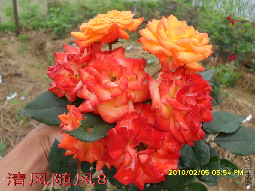 ����11 (1).jpg