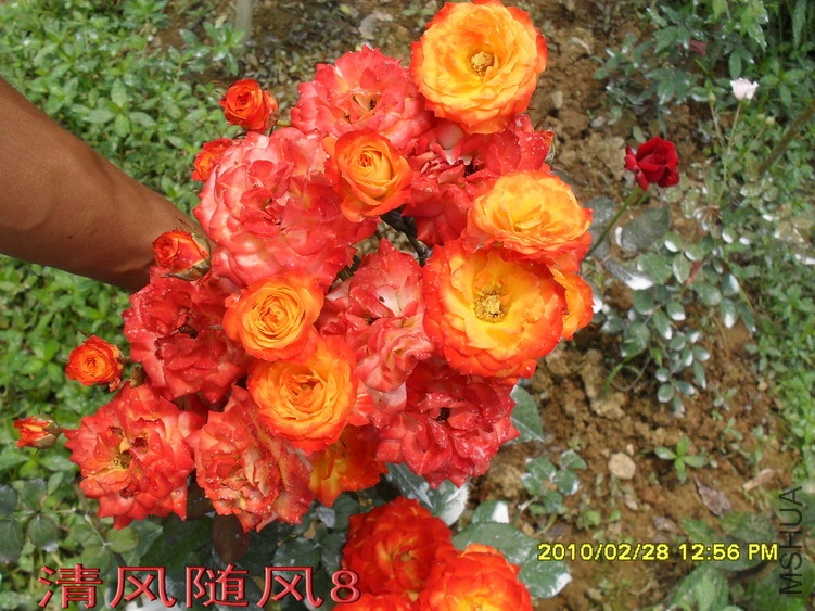 ����11 (4).jpg