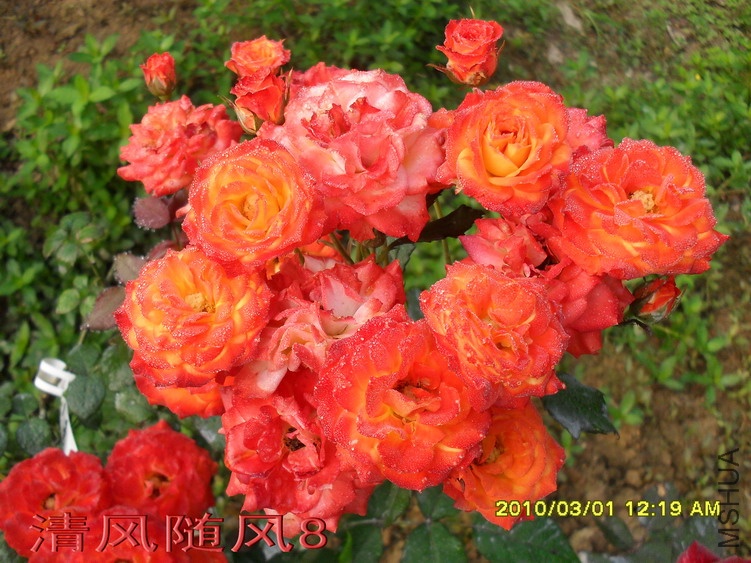 ����11 (6).jpg