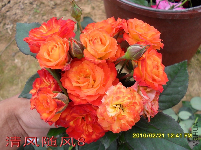 ����11 (7).jpg