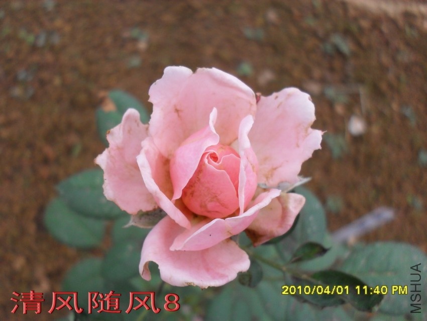 �����ֵ�11 (1).jpg