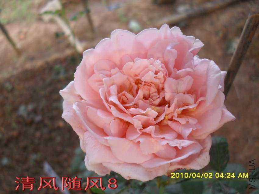 �����ֵ�11 (3).jpg