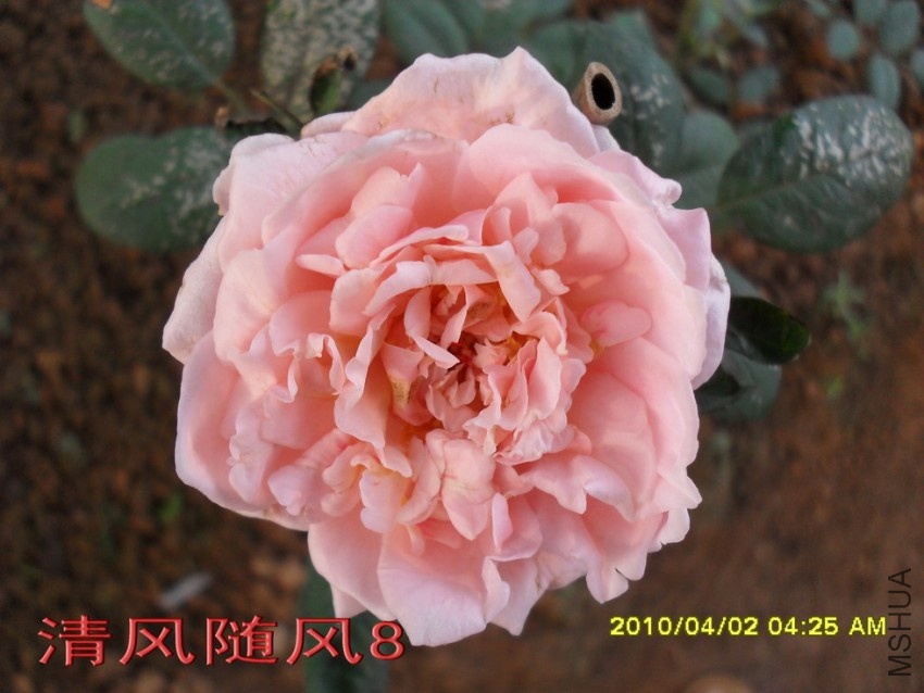 �����ֵ�11 (7).jpg