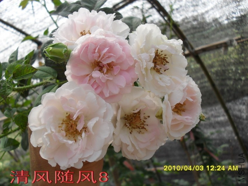 Ʈ��˿11 (1).jpg