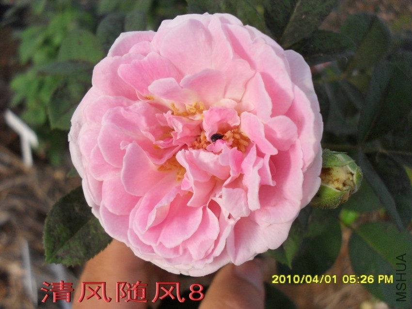 Ʈ��˿11 (4).jpg