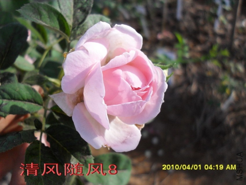 Ʈ��˿11 (2).jpg