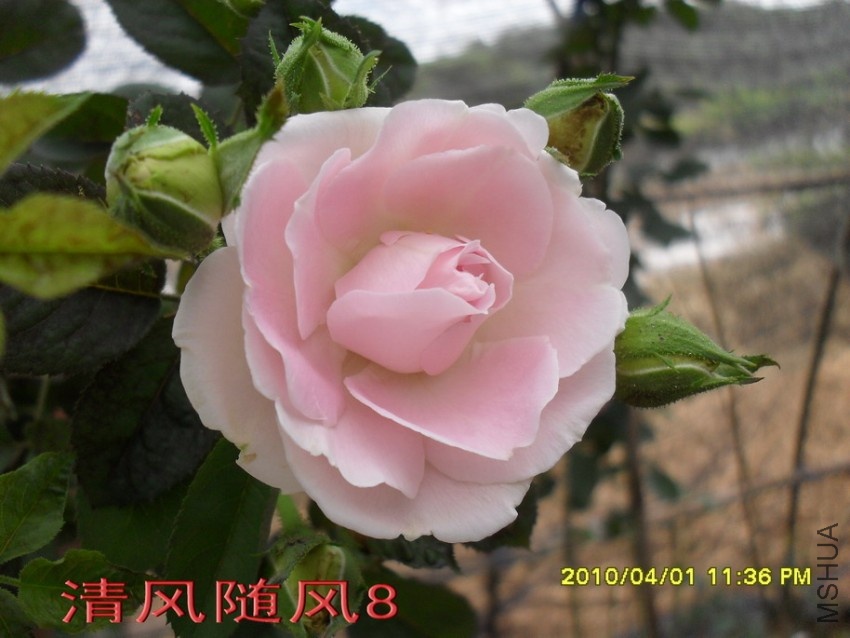 Ʈ��˿11 (5).jpg