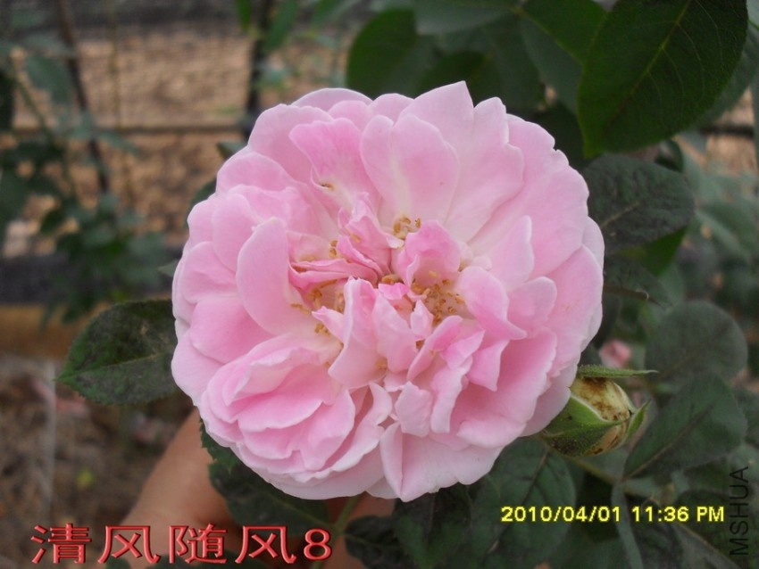 Ʈ��˿11 (6).jpg