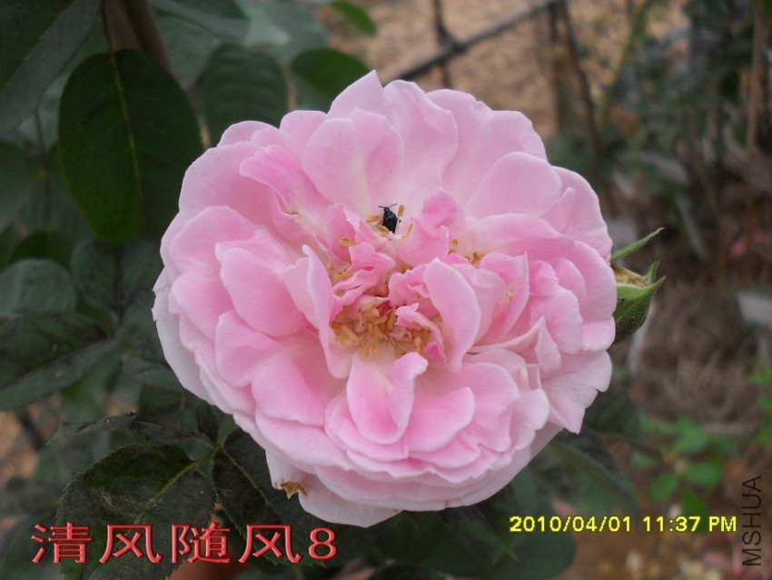 Ʈ��˿11 (7).jpg