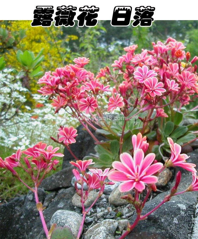 F106¶ޱ��-1.jpg