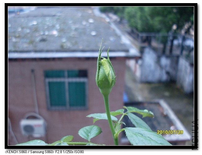 ��һ������