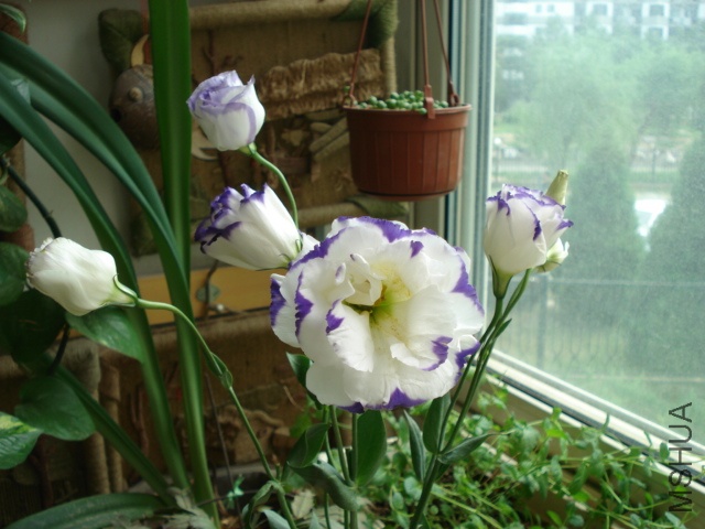 DSC04897.JPG