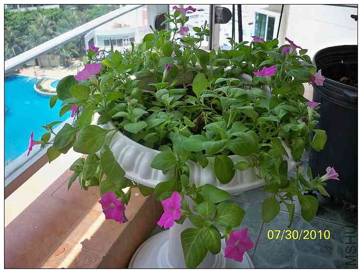 ������ǣţ