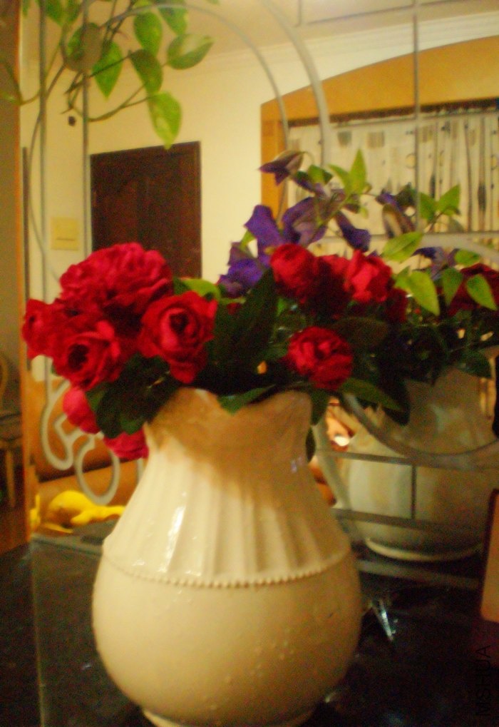 P8010202.JPG