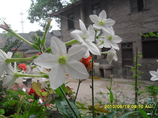 SDC16186.jpg