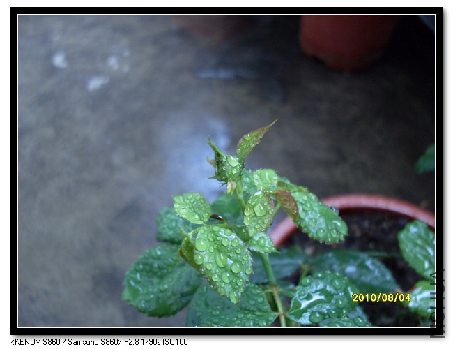 ���ĸ�����