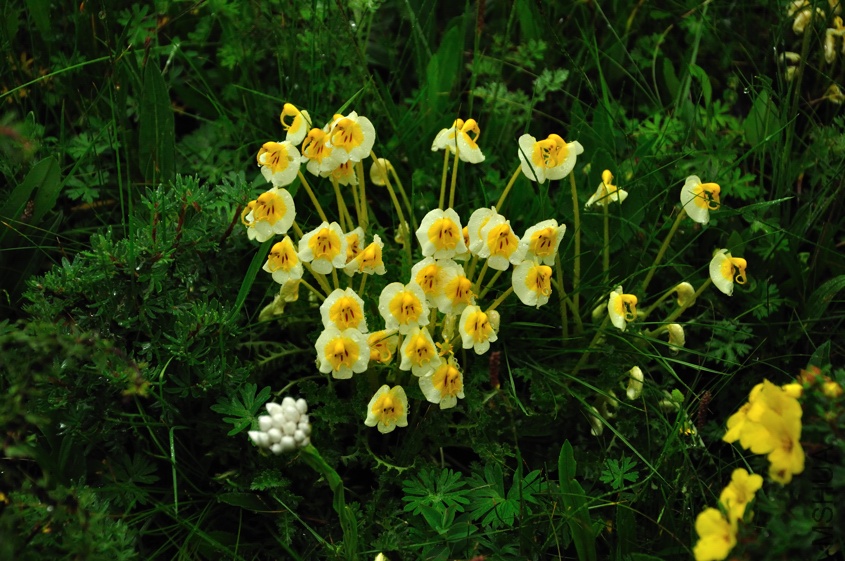 DSC_3638.jpg