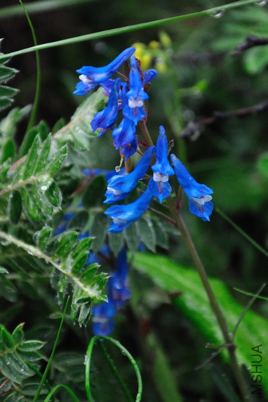 DSC_3556.jpg