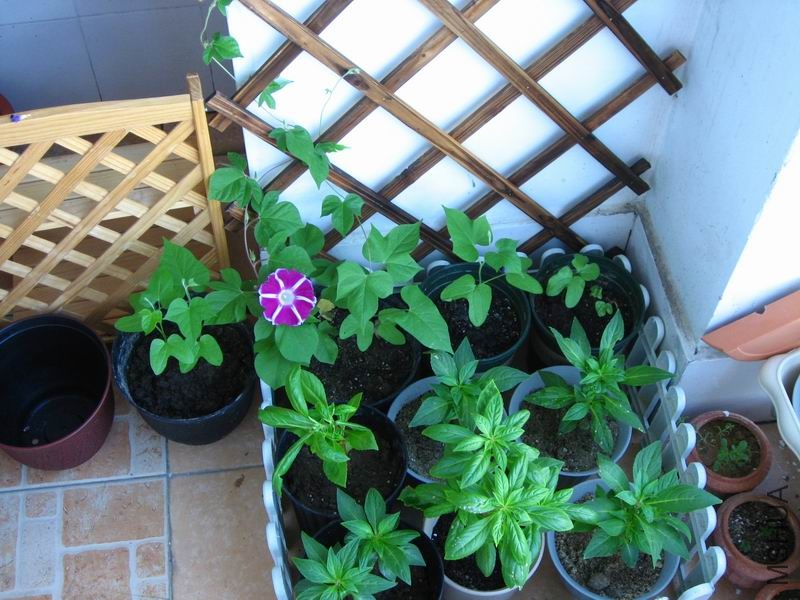 ������С ��Ƭ 011.jpg