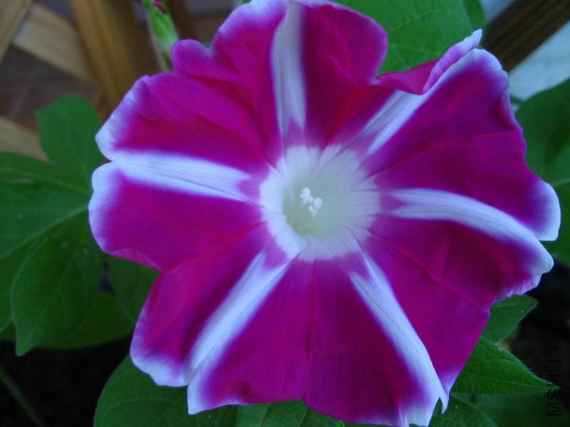 ������С ��Ƭ 009.jpg