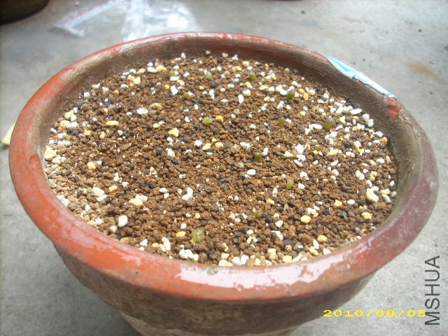 DSCI3190.JPG
