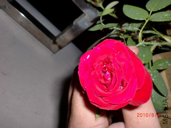 CIMG0258.JPG