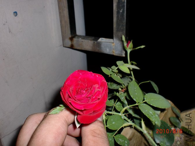 CIMG0259.JPG