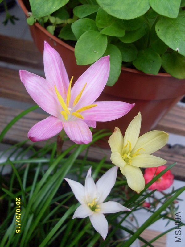 SDC10780.JPG