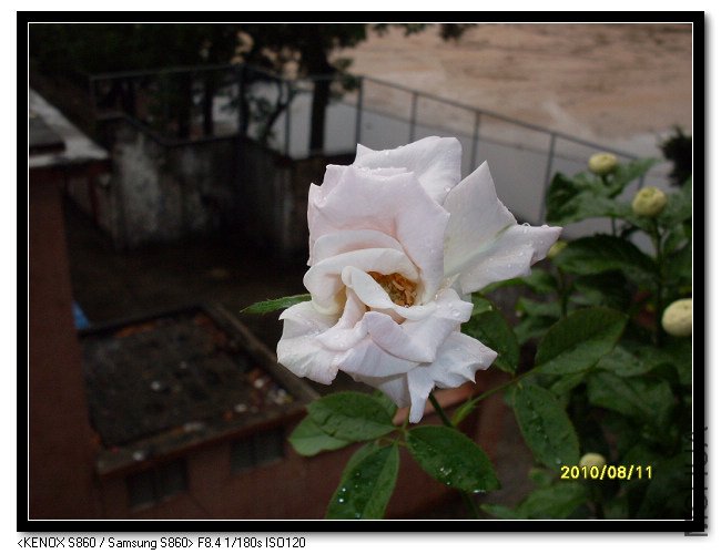 SDC14716_nEO_IMG.jpg