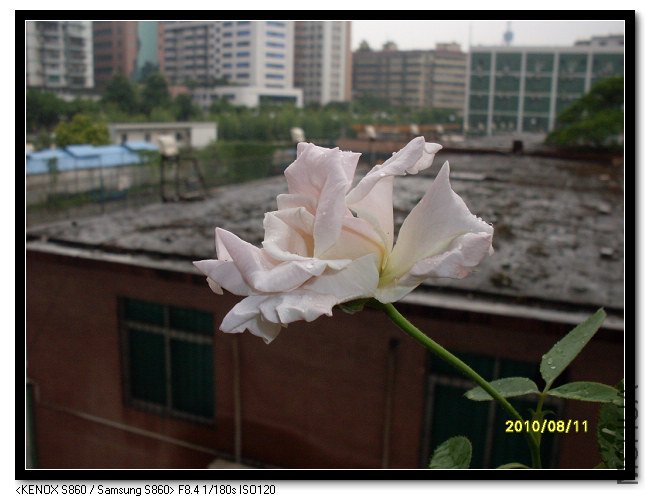 SDC14719_nEO_IMG.jpg