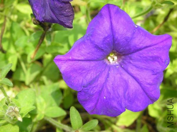 ��Ƭ 018.jpg
