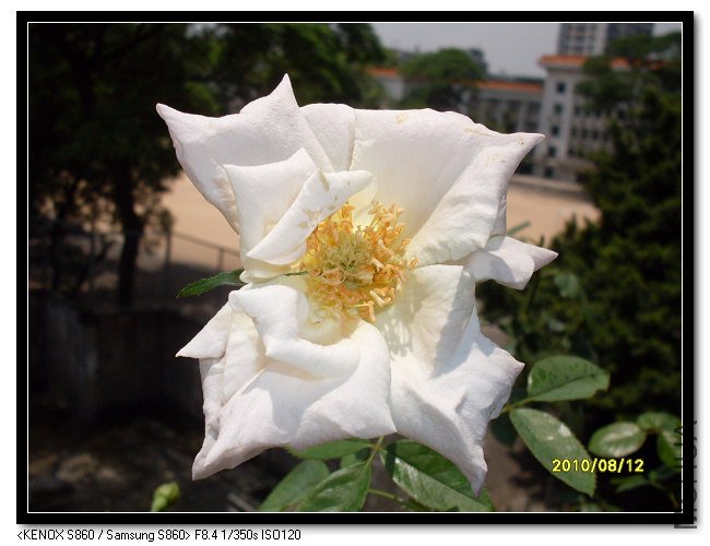 SDC14739_nEO_IMG.jpg