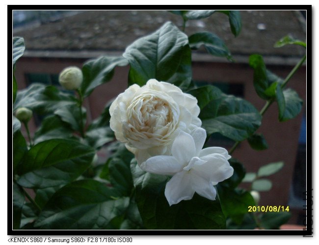 ����ͨ����Ա�