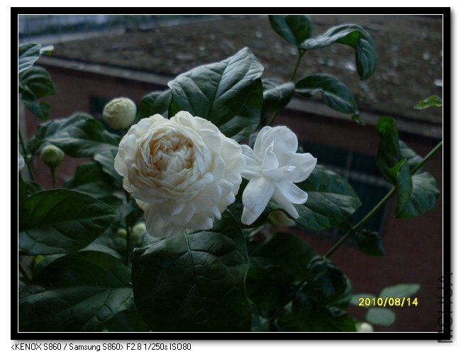 ����ͨ����Ա�