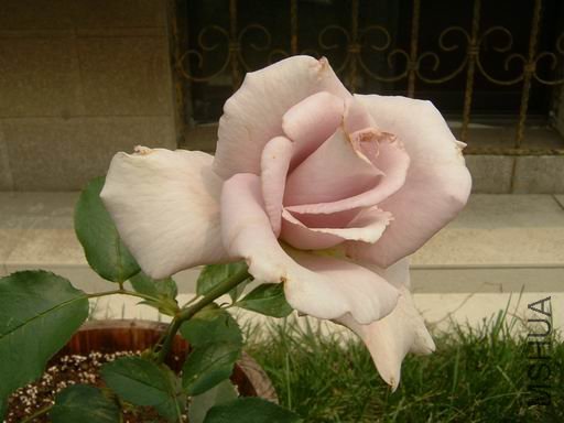 ������С DSCF0021.JPG