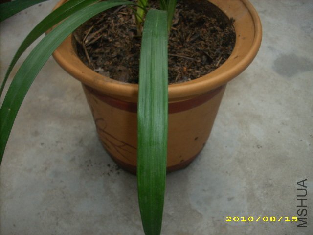 DSCI3204.JPG