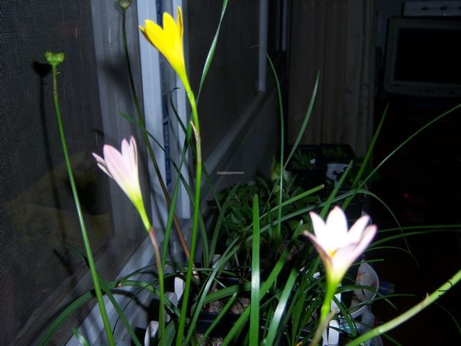 100_4532.jpg